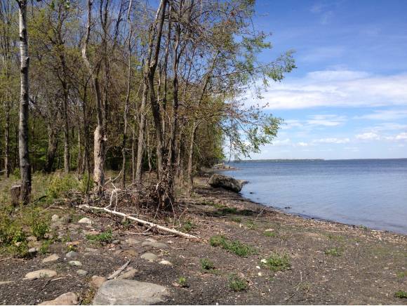  Holiday Point Rd