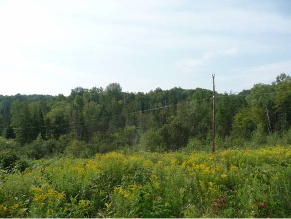  Hollister Hill Rd