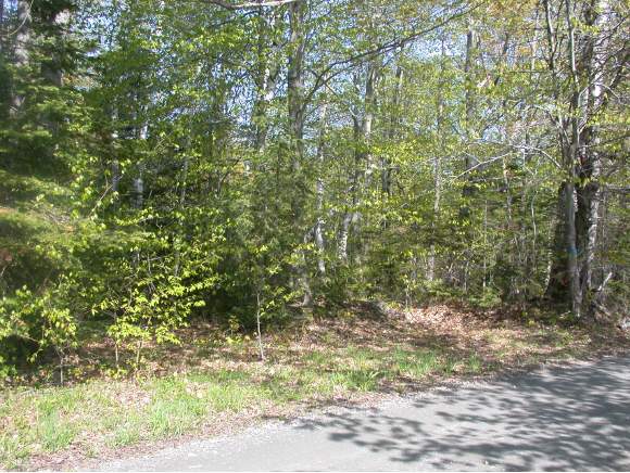  Houghton Rd.