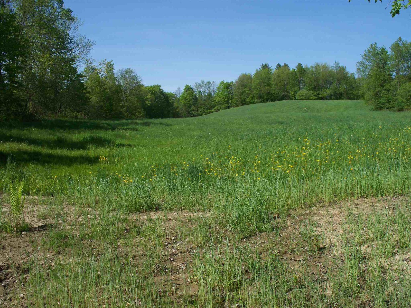  Kinsley Road