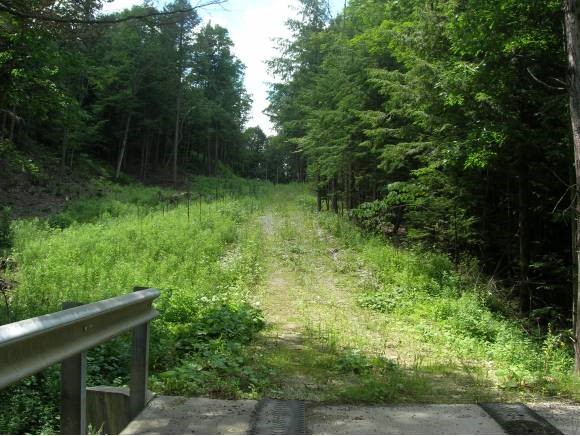  Knox Hill Road