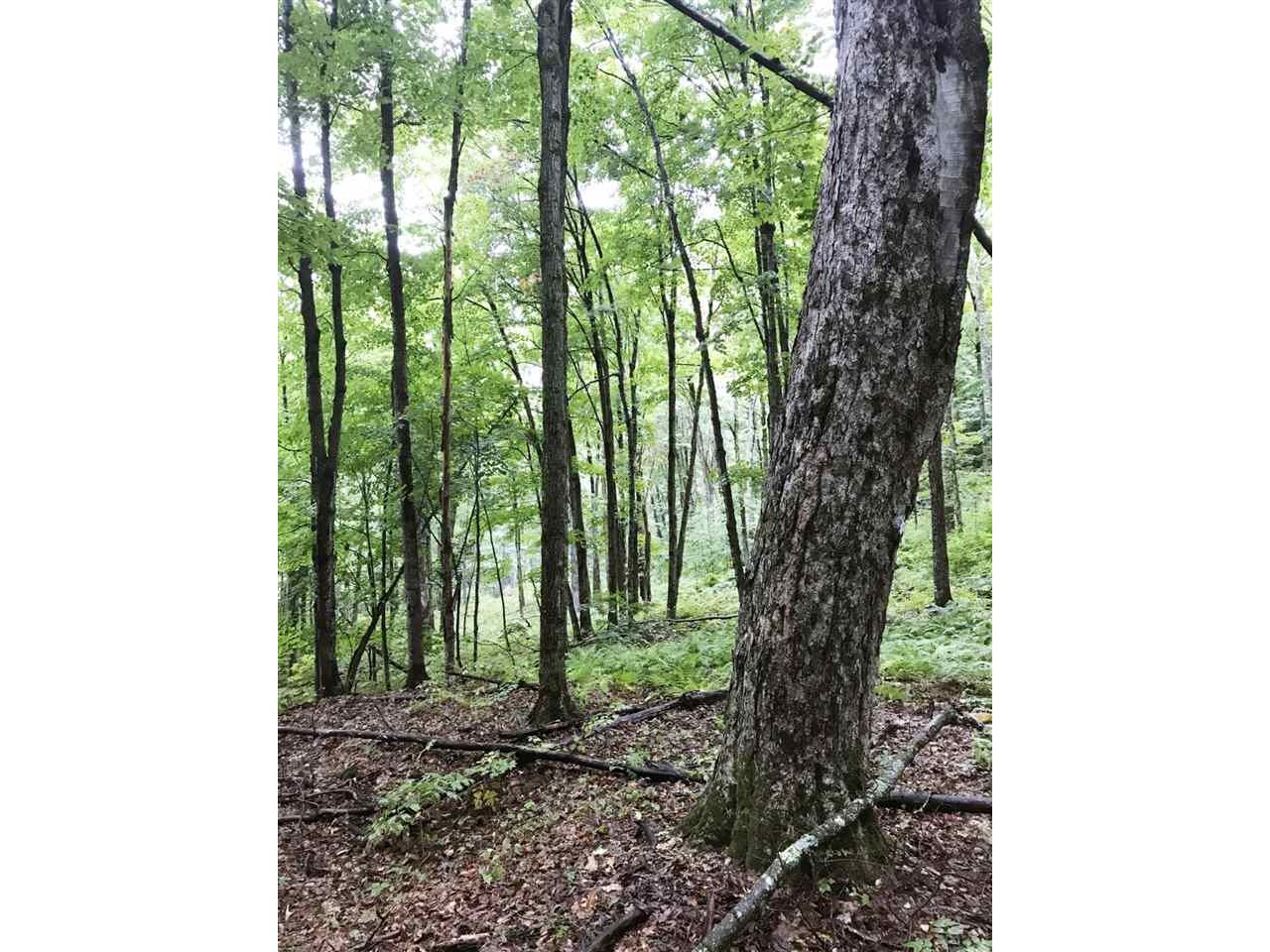 - Lafont Road