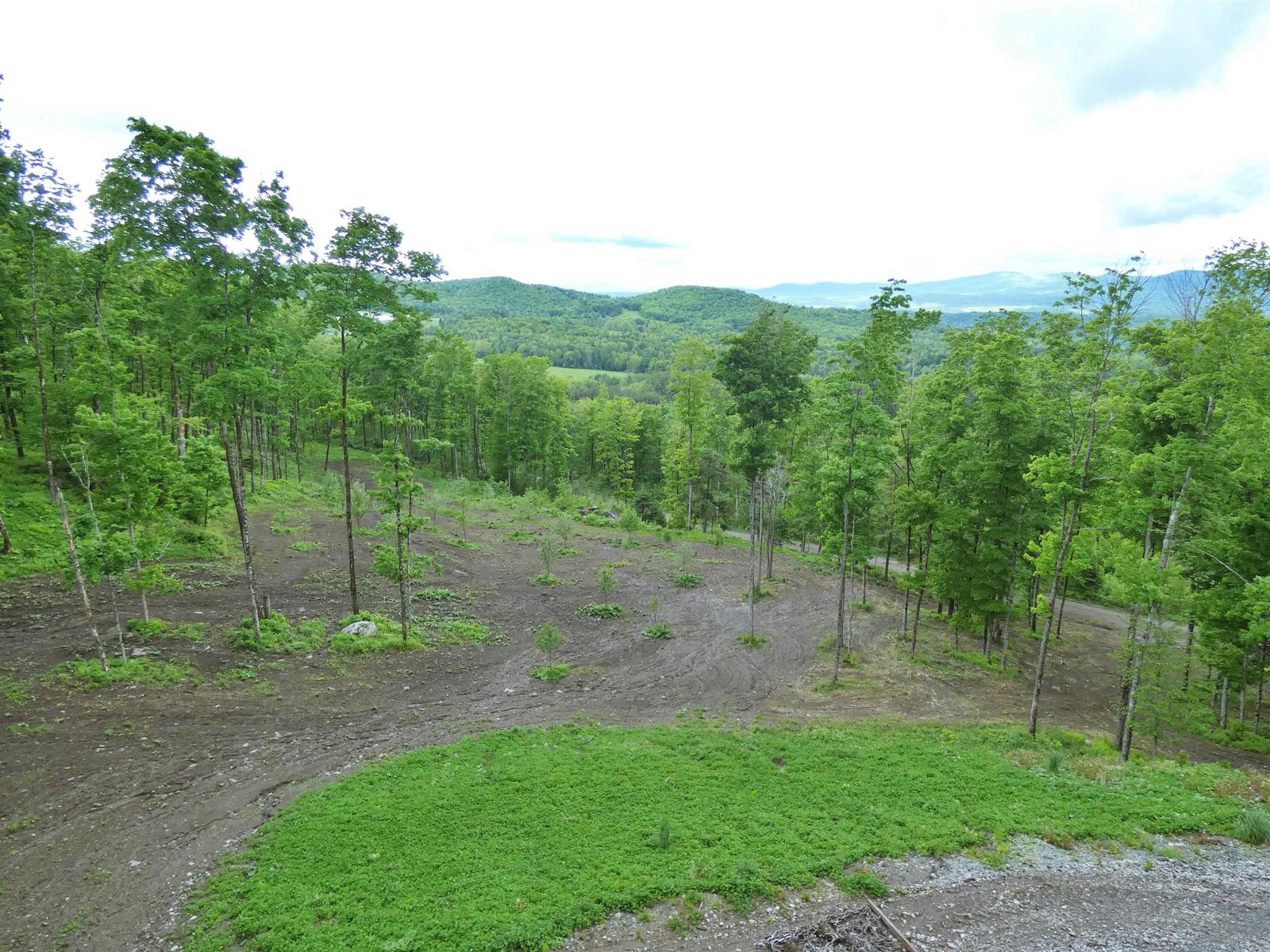 - Lafont Road