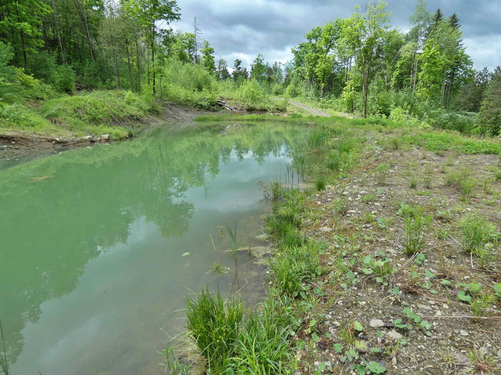 - Lafont Road