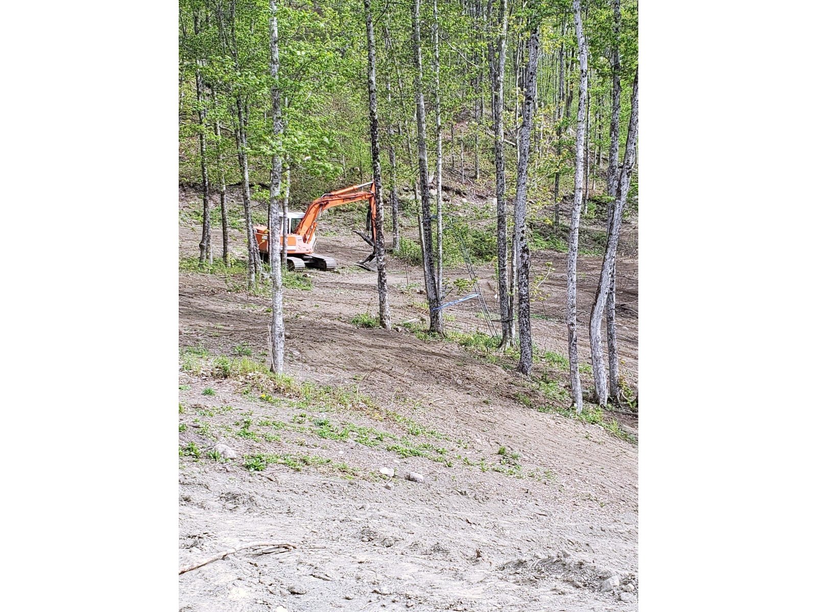 - Lafont Road