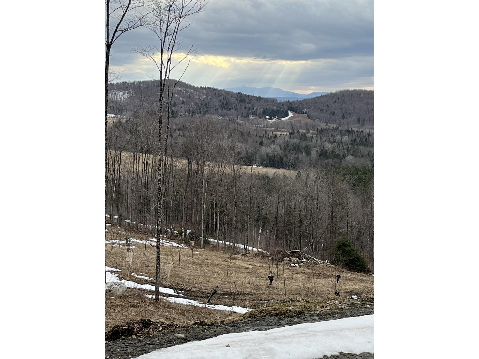 - Lafont Road
