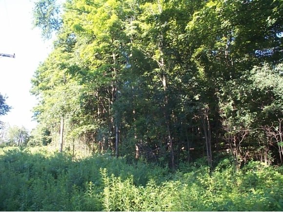  Lake Rd
