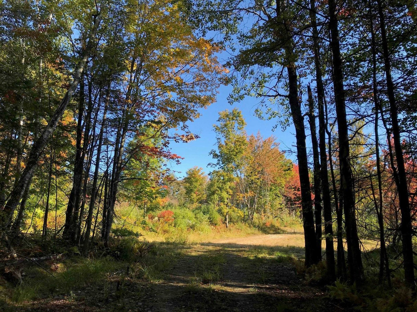  Lakeview Lane
