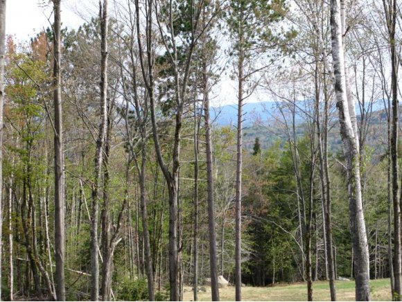  Lot 10 - Spring Trail