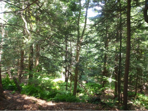  Lot #14 Stony Hill Rd