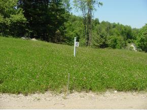  LOT 17 THOMAS Ln