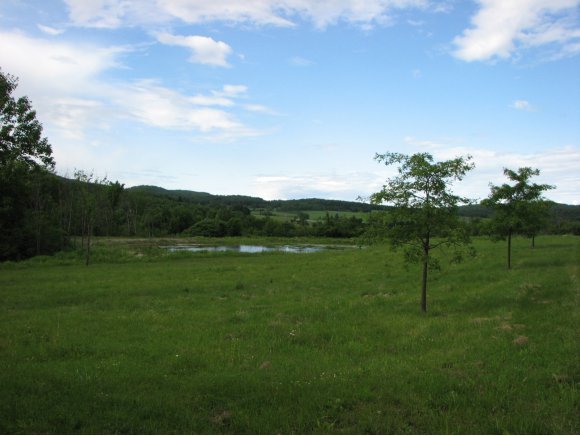  Lot #3 Georgia Mountain Rd