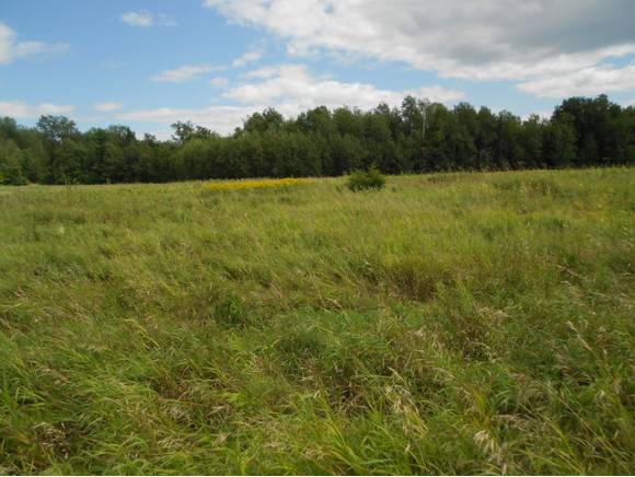  Lot 3, Meadow Lane