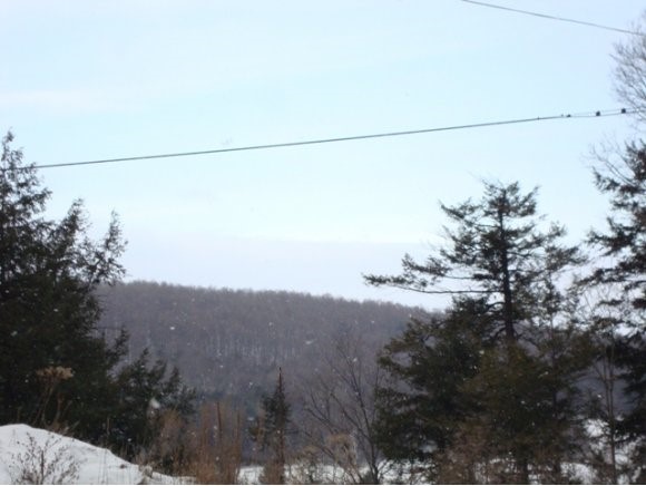  Lot 5 Hart Springs Road