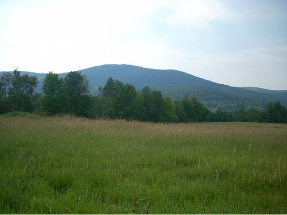  Lower Pleasant Valley Rd.