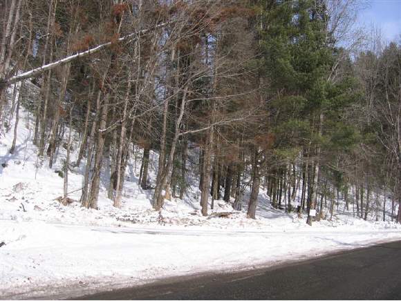  Maple Rd