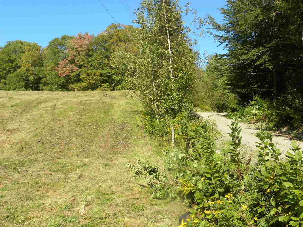  Meek Road