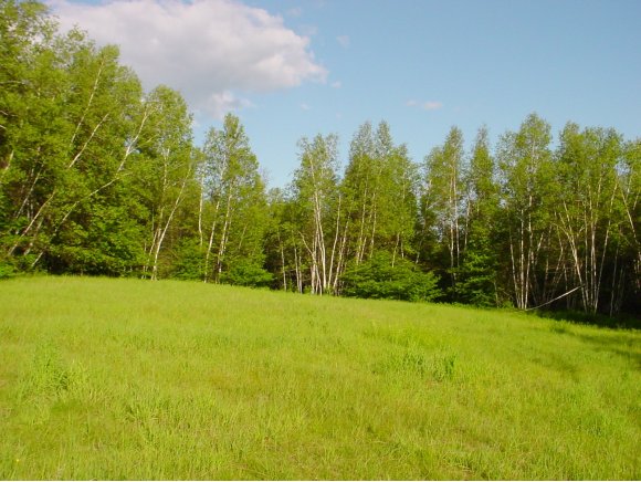  Mineral Brook Road