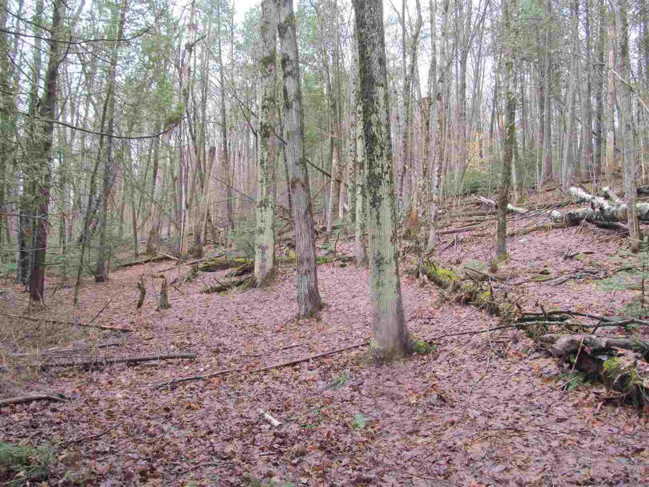  Morgan-Charleston Road