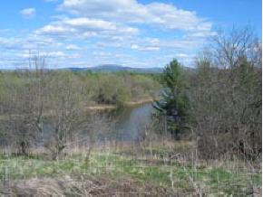  Morgan Horse Farm Rd