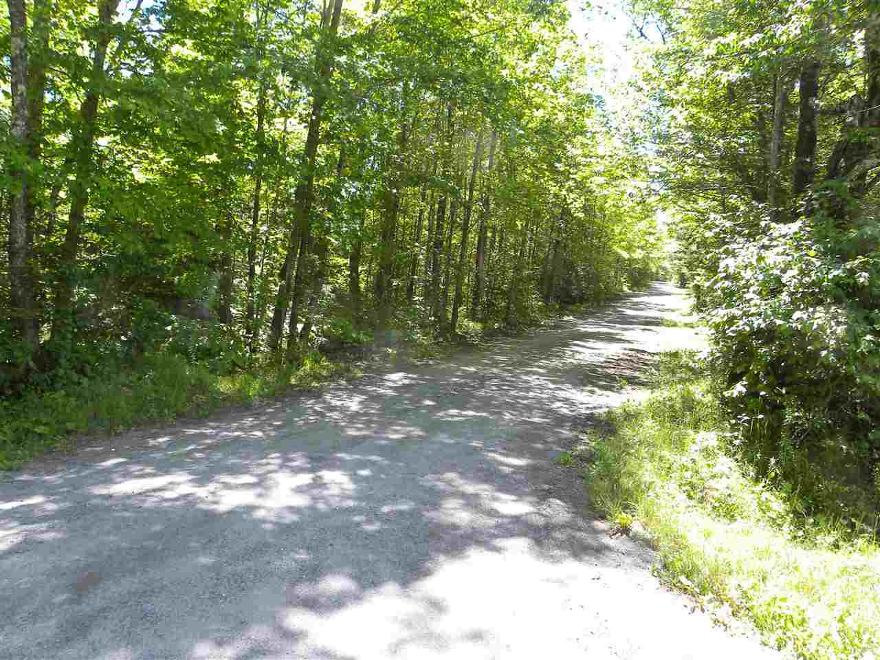 - Mud Island & Shadow Lake Road