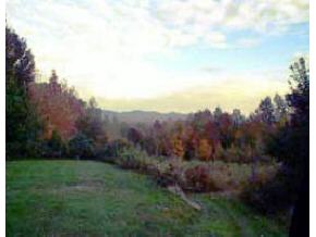 . N Branch Rd.