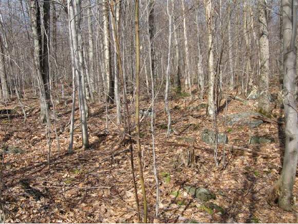  North Bear Swamp Road