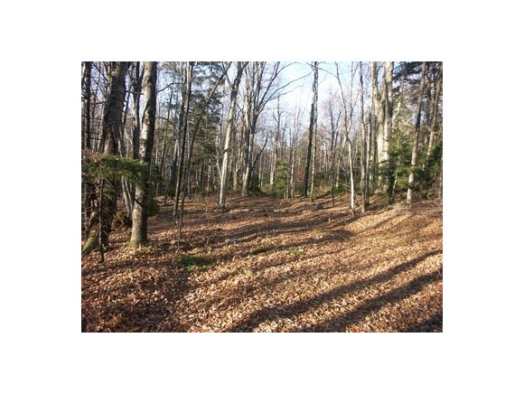  Old Orchard Way