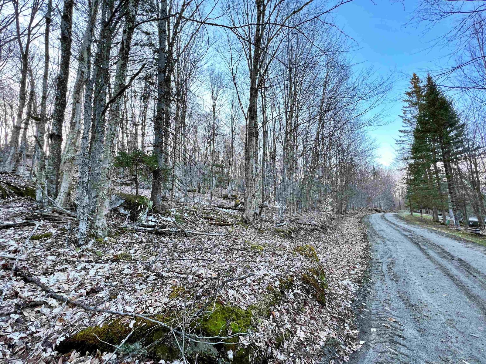 - Old Quarry Road