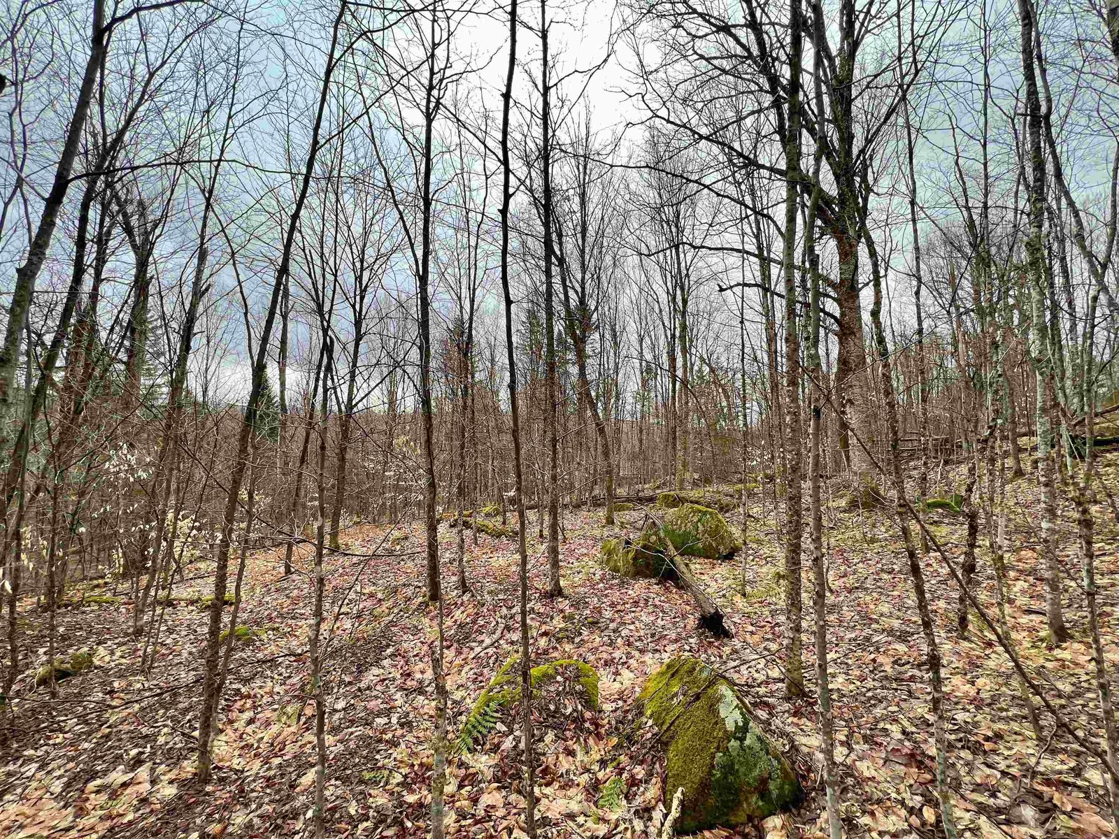 - Old Quarry Road