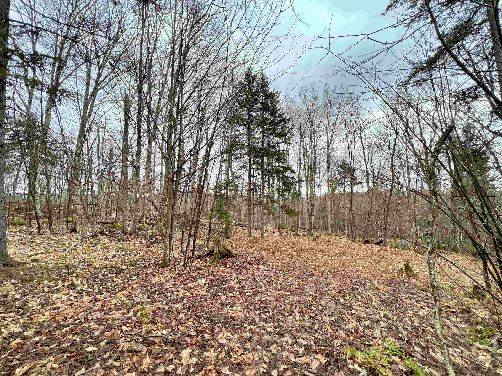 - Old Quarry Road