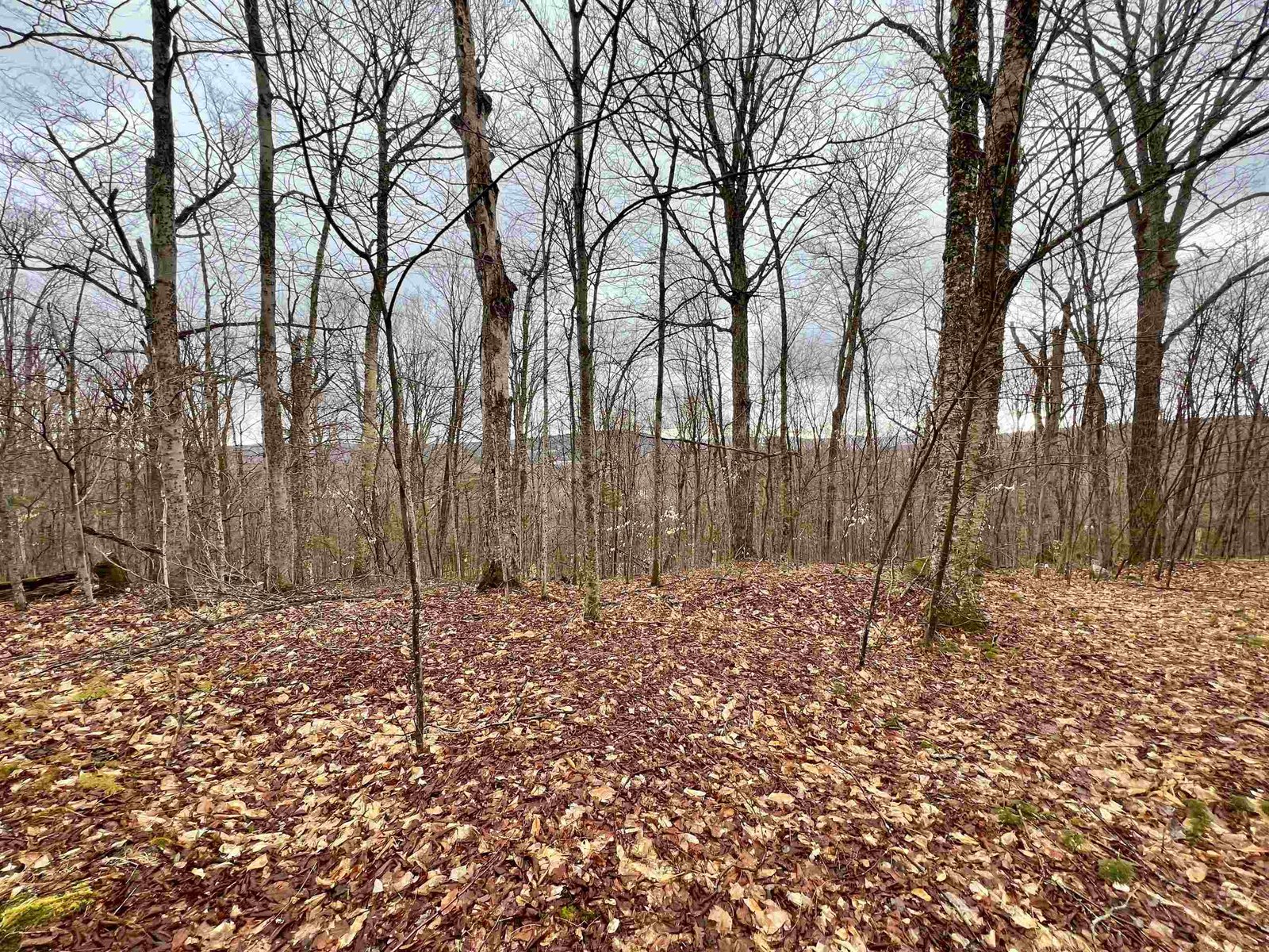 - Old Quarry Road
