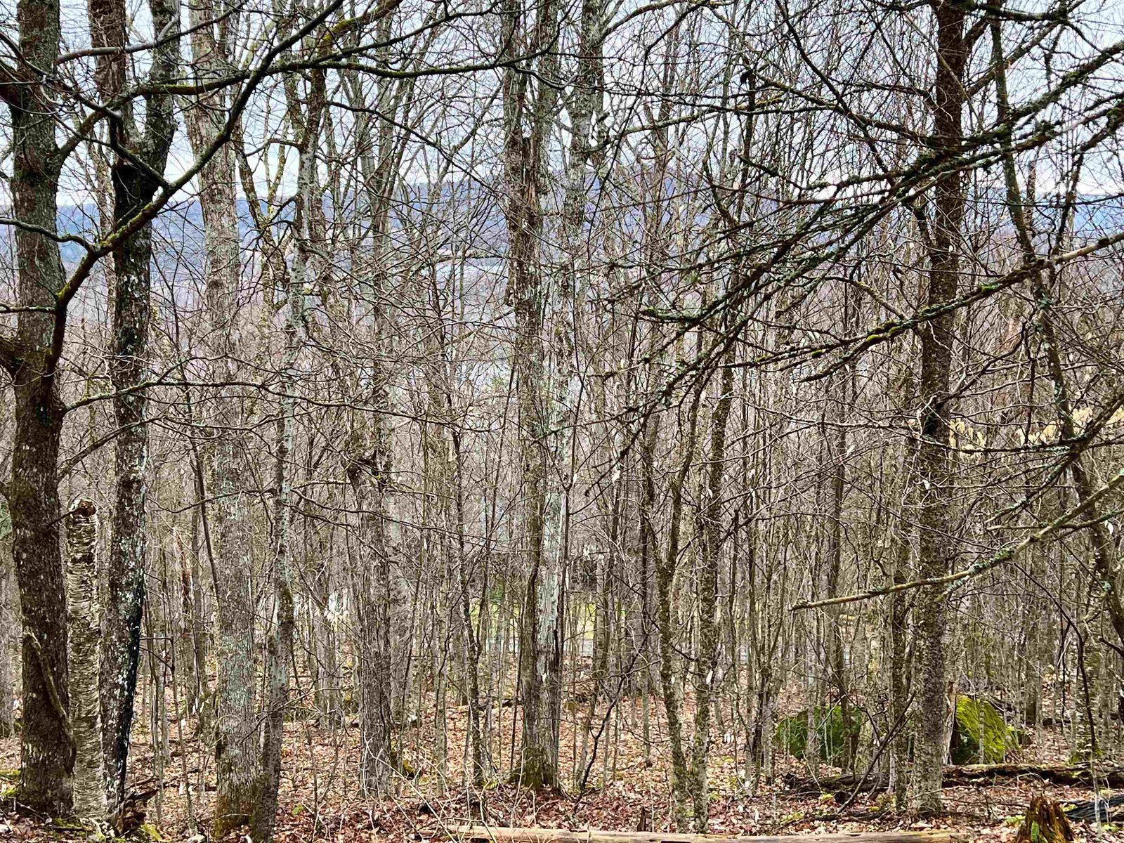 - Old Quarry Road