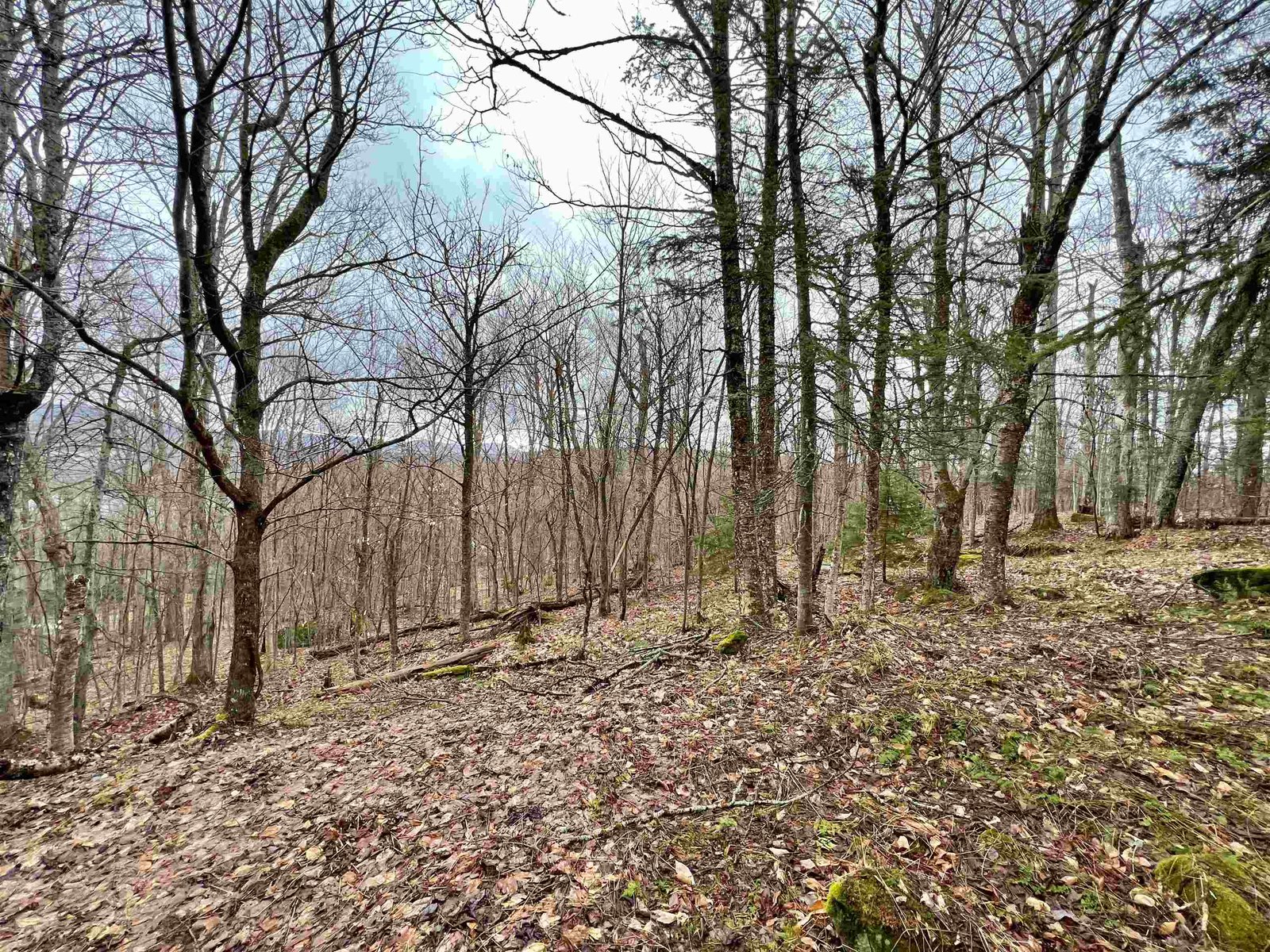 - Old Quarry Road