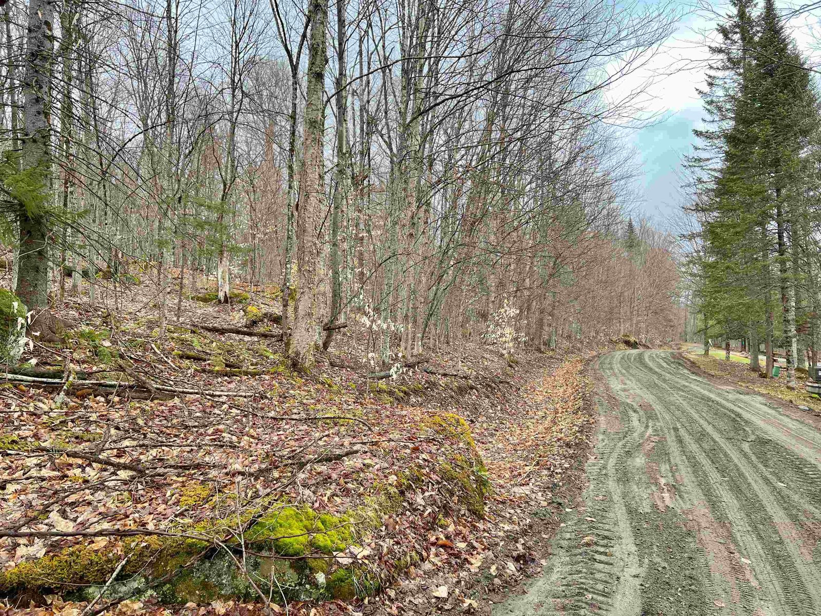 - Old Quarry Road