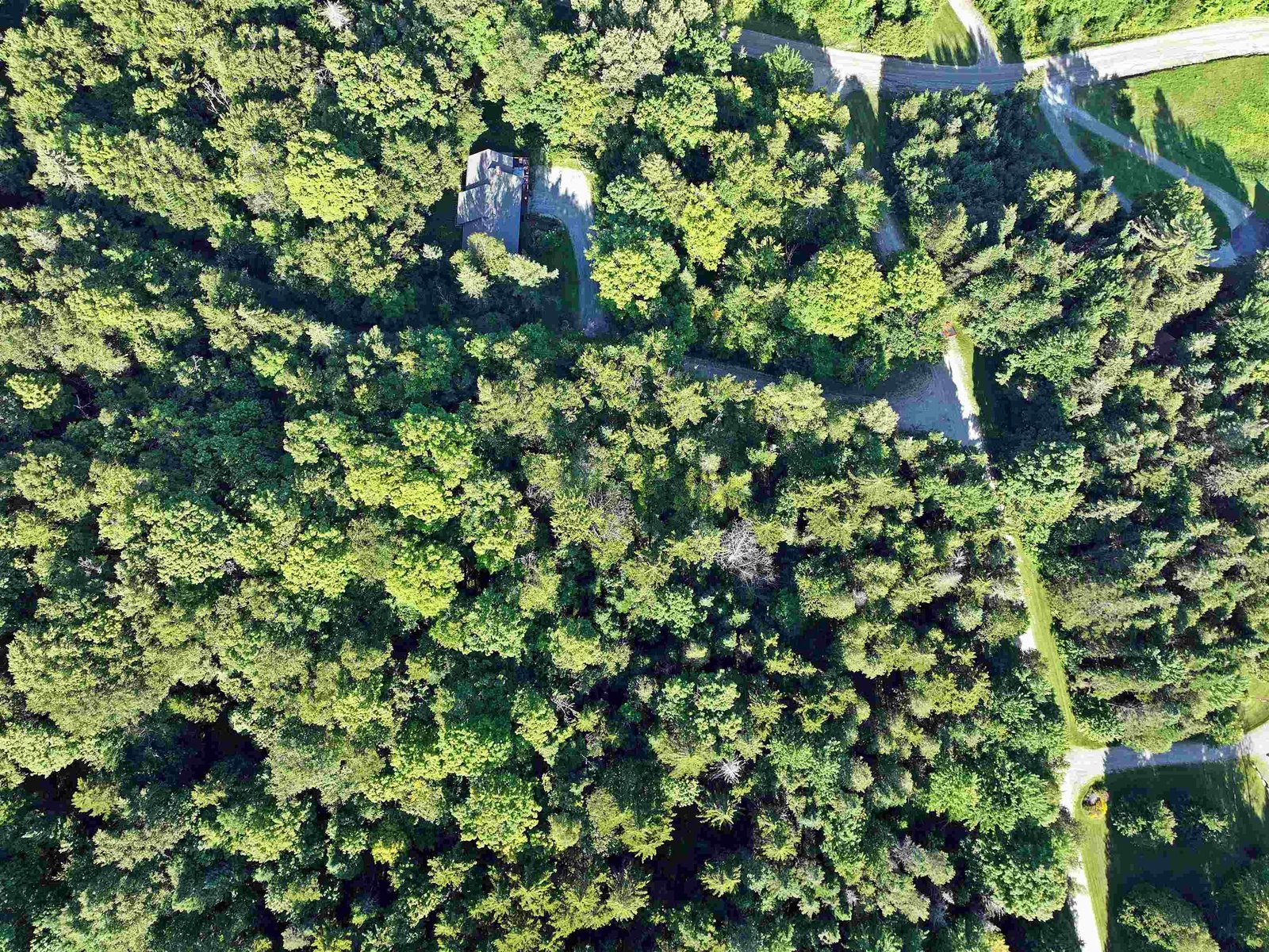 - Old Quarry Road