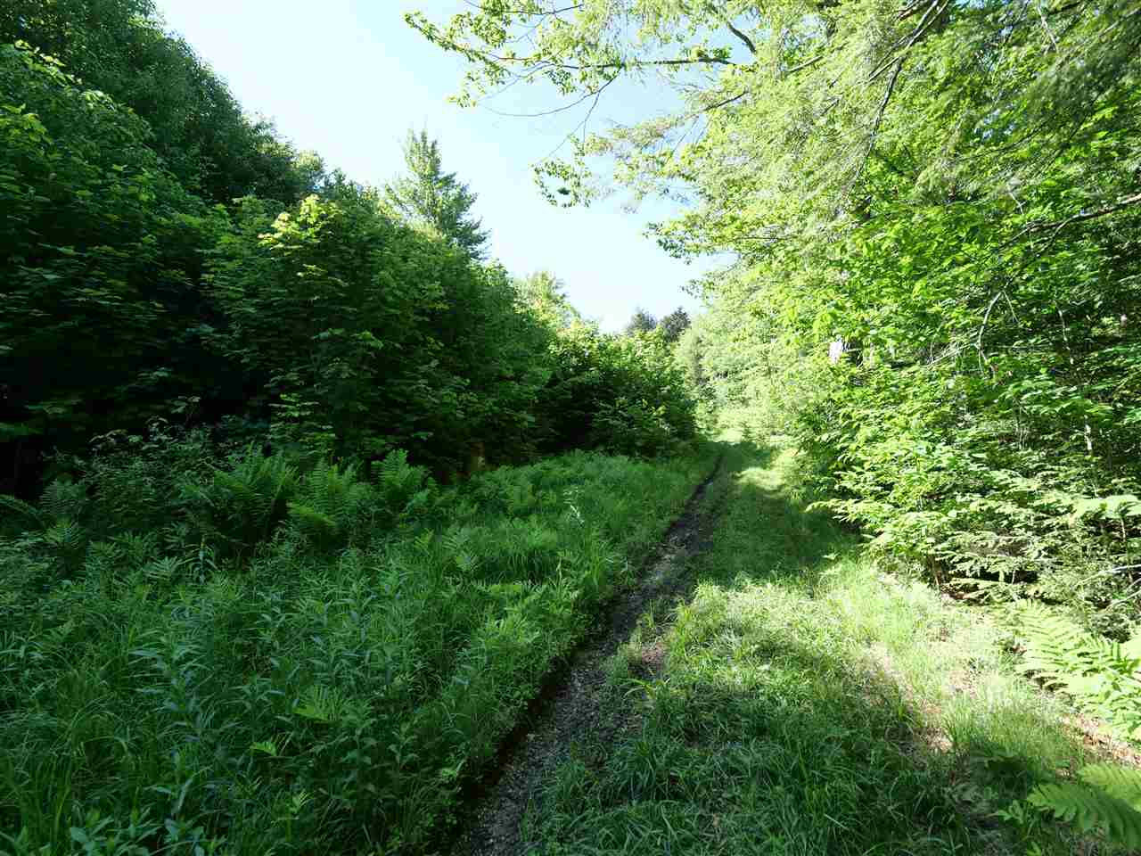  Patch Road