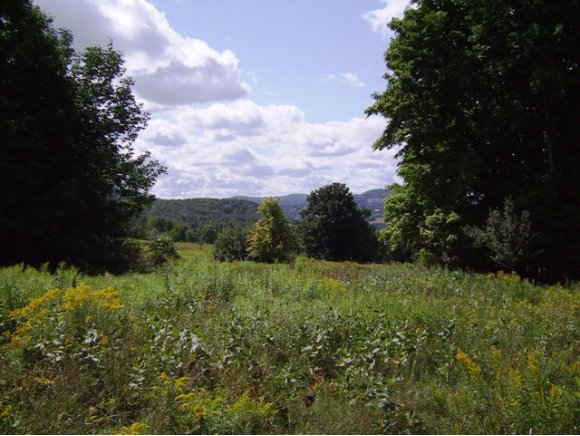  Phelps Road