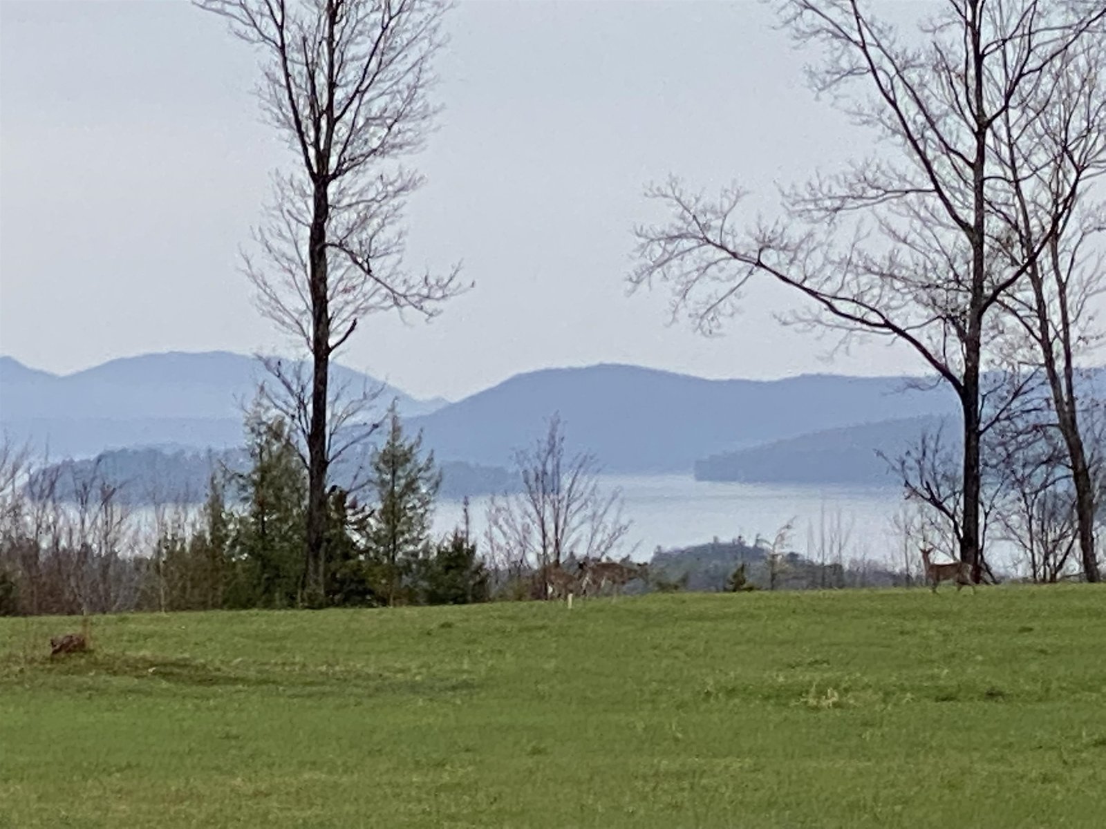 - Pine Hill Road