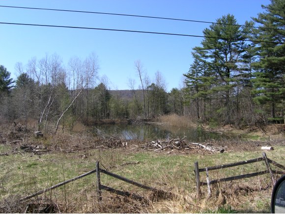  Pinewood Estates