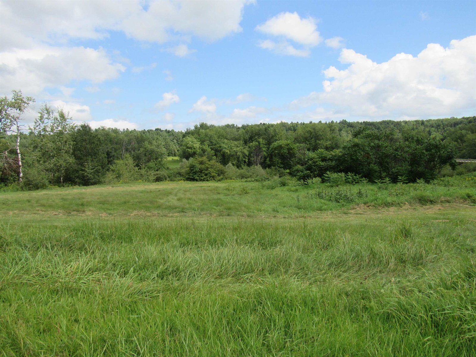Wonderful Open Meadow