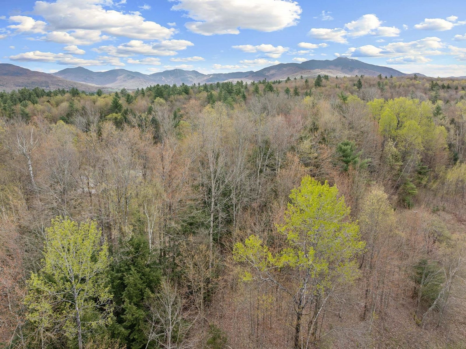  River View Road