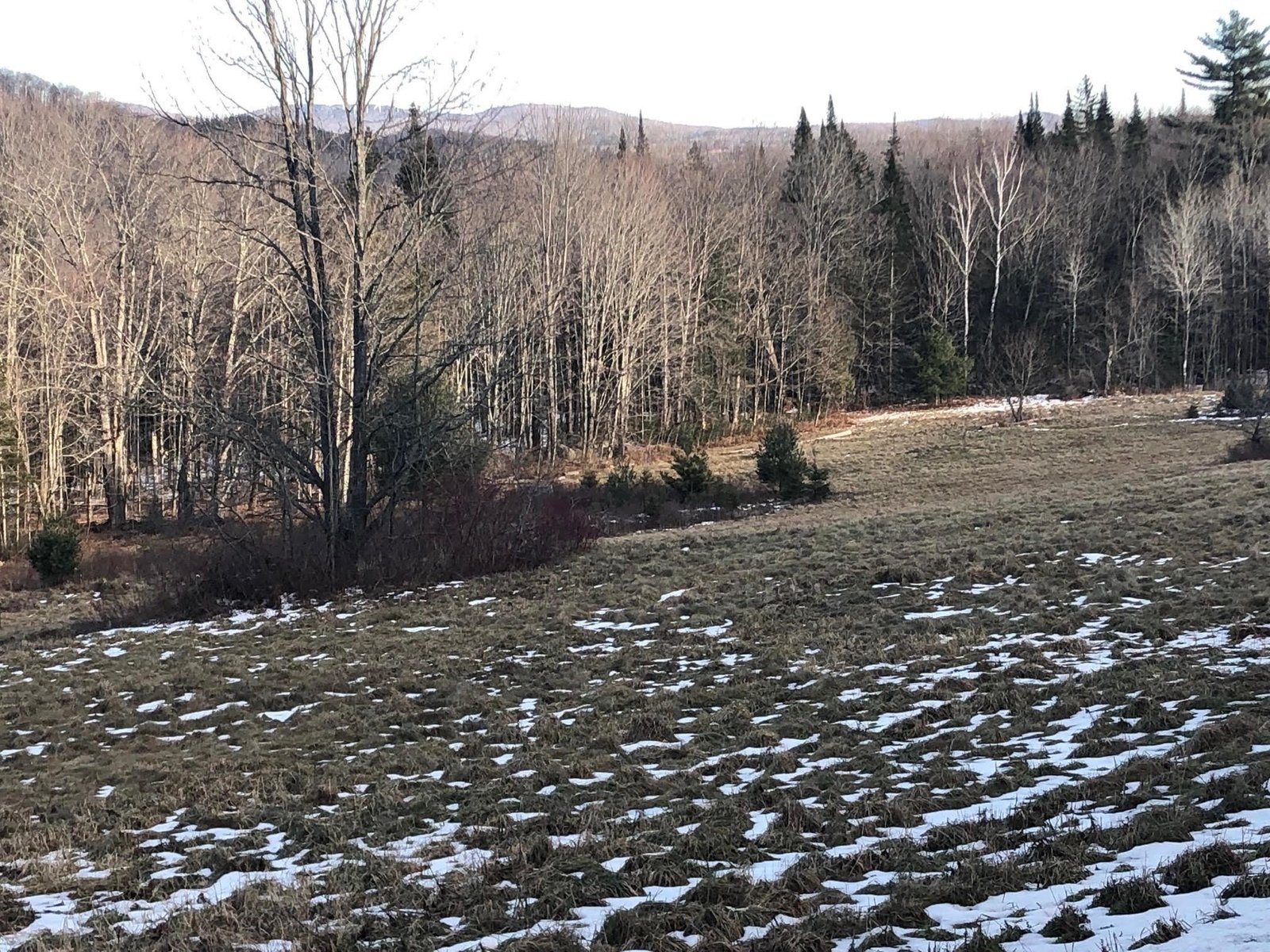  Shadow Lake Road