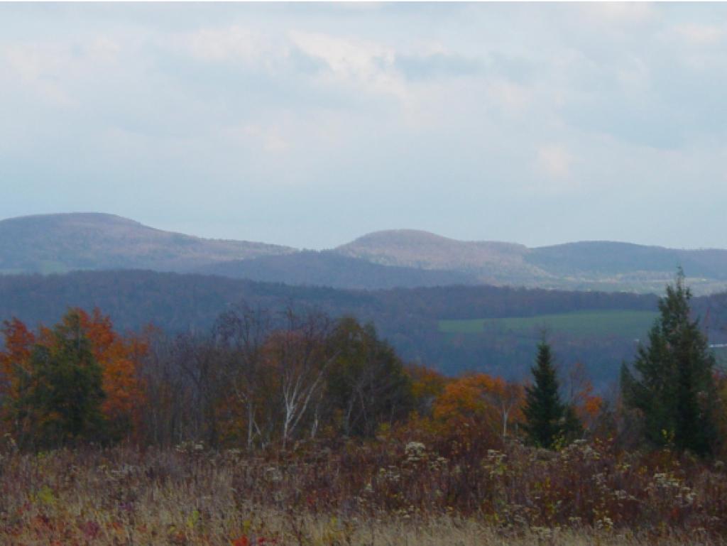 - Shuteville Road