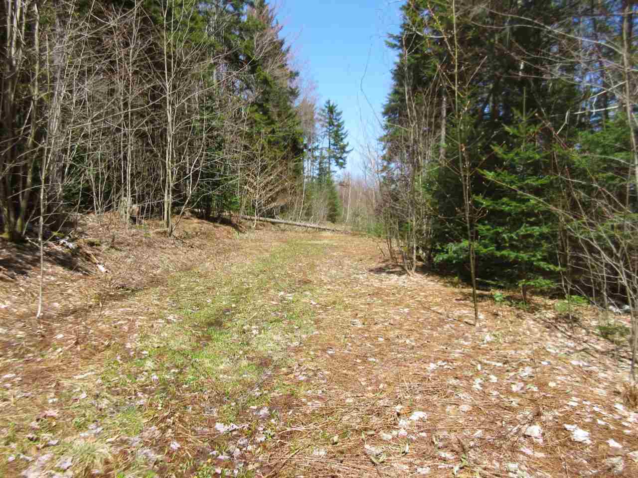 - Snyder Brook Road