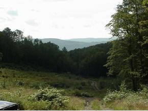  South Richardson Rd