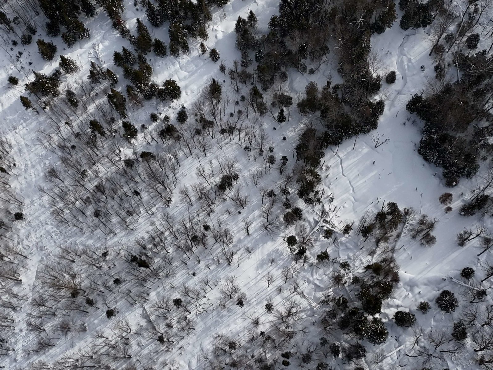  Stannard Mountain Road