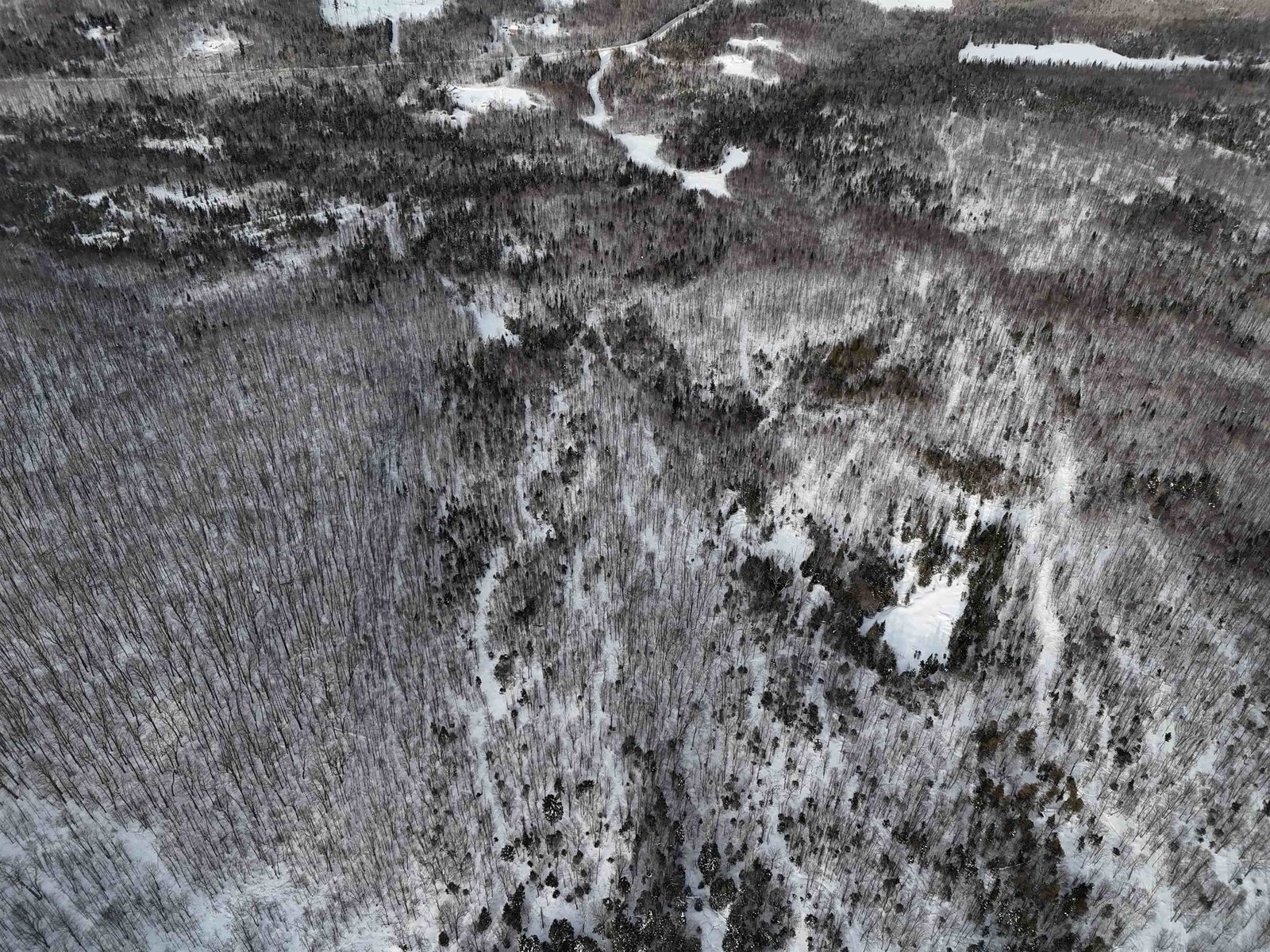  Stannard Mountain Road