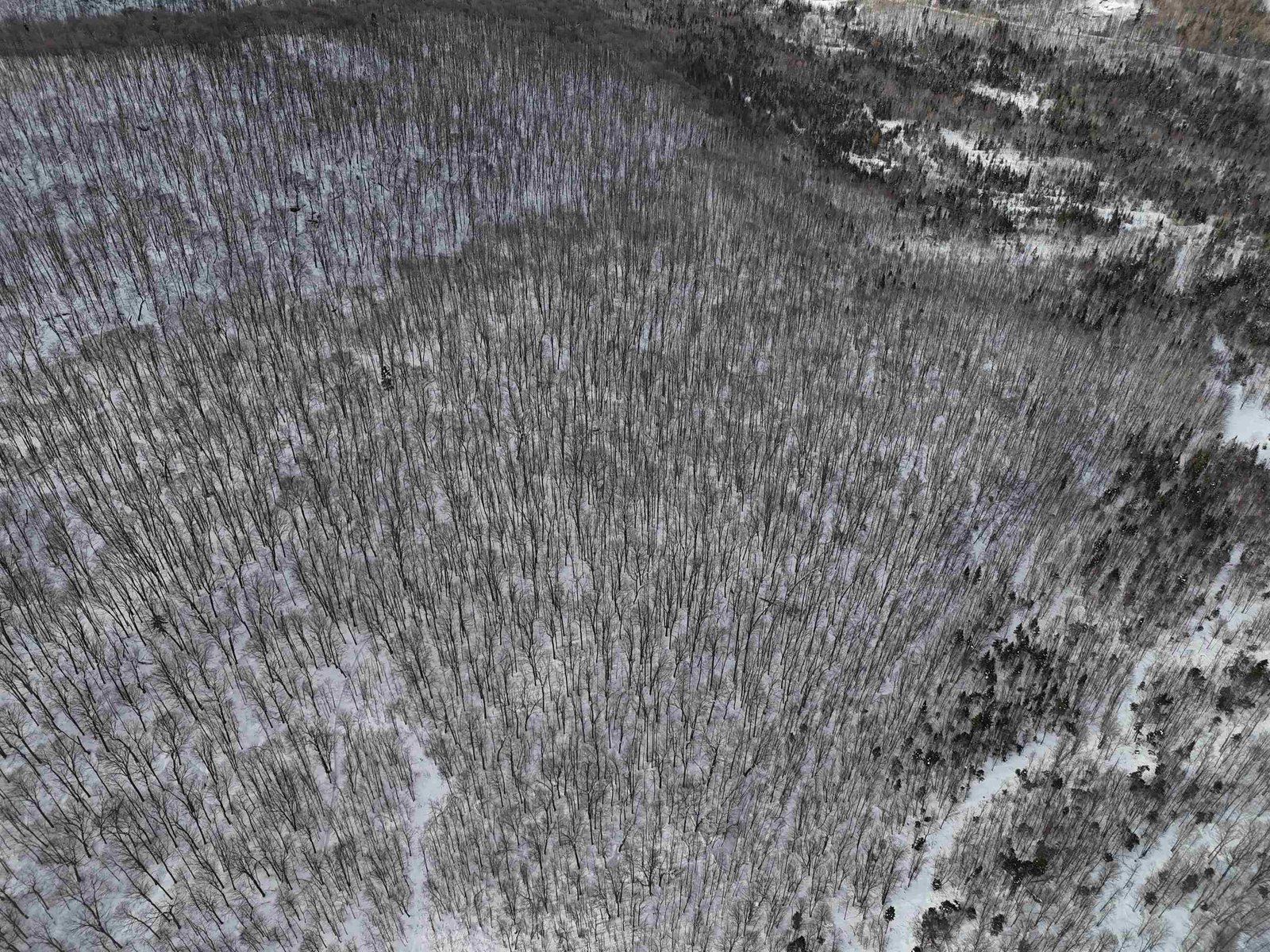  Stannard Mountain Road