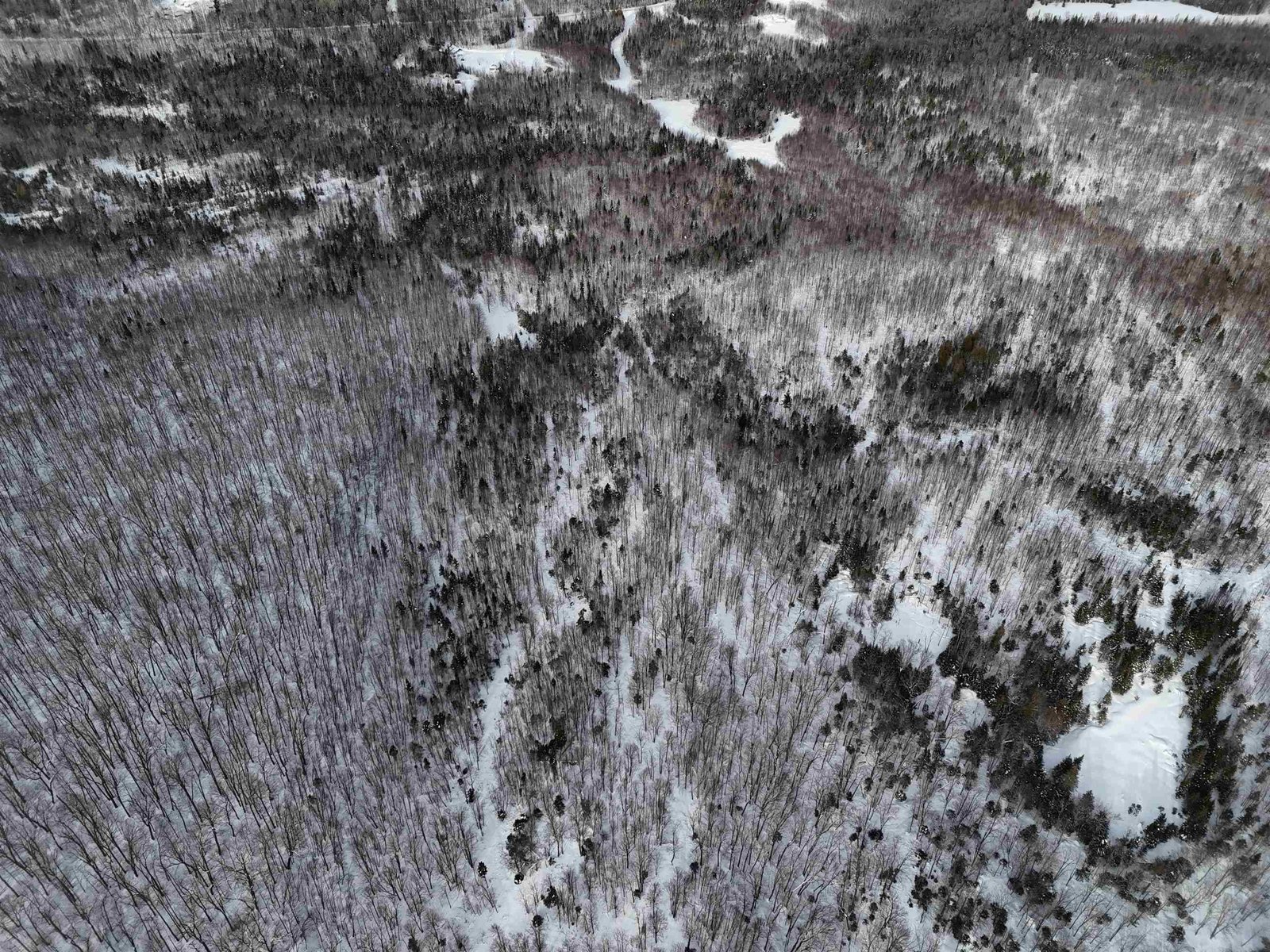  Stannard Mountain Road